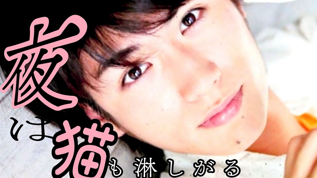 🌛【夜は猫も淋しがる】歌詞・和訳付き動画 HarumaMiura