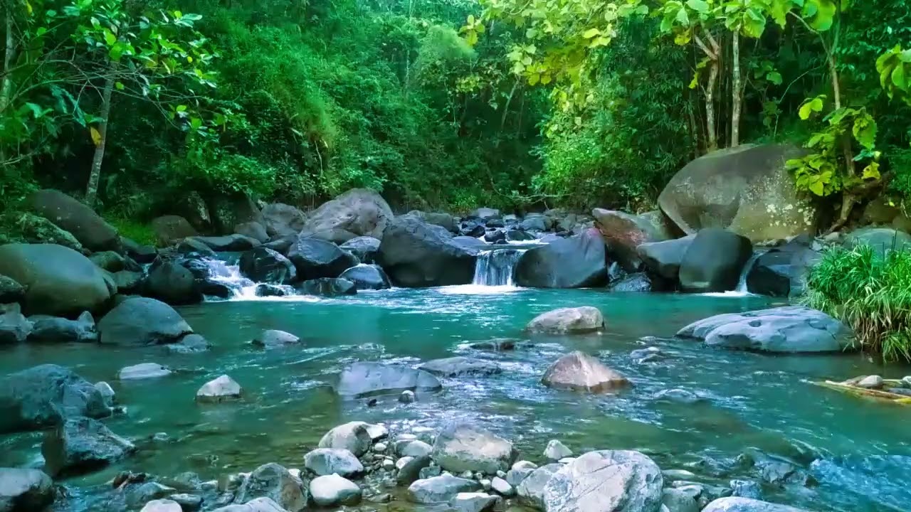 Forest Stream Sounds, 1+ Hour of Nature Sounds for Sleep and Relaxation