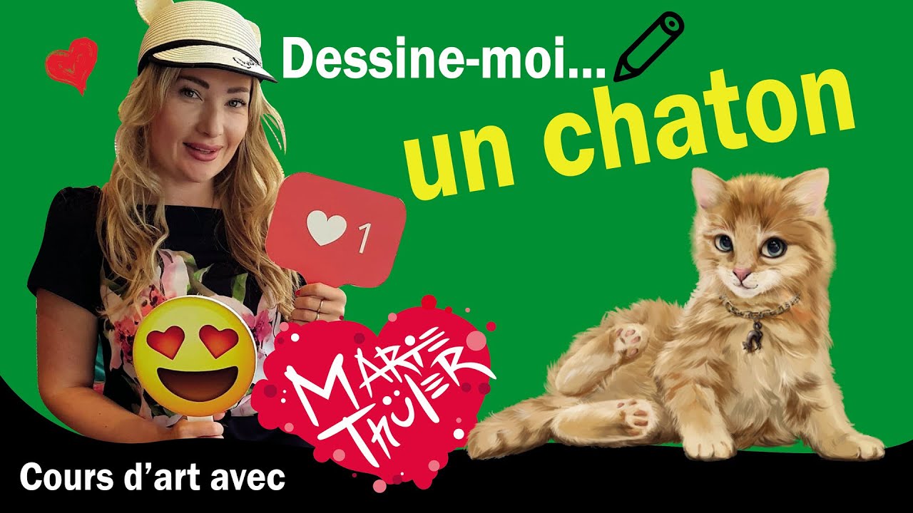 Dessiner un chaton