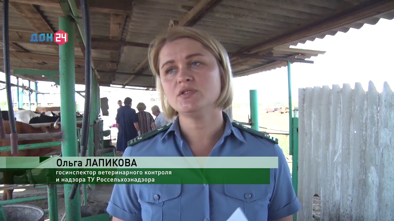 ПРОВЕРКА КОРОВ НА ЛЕЙКОЗ