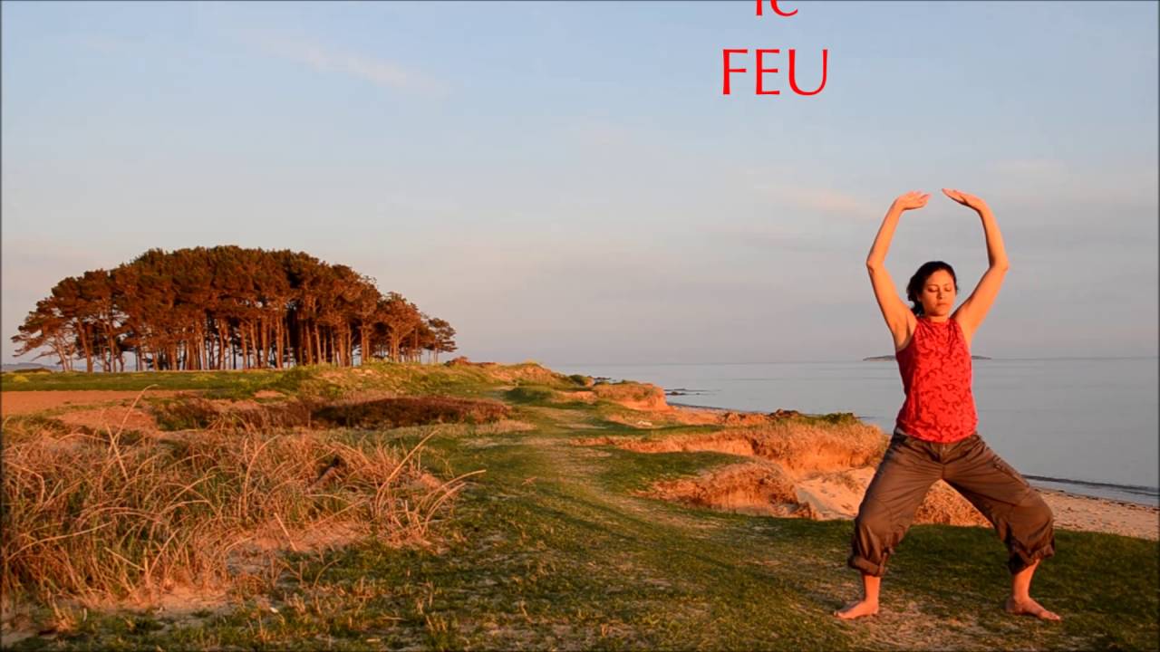 Plénitude Absolue ~ Qi Gong : Les 5 Éléments