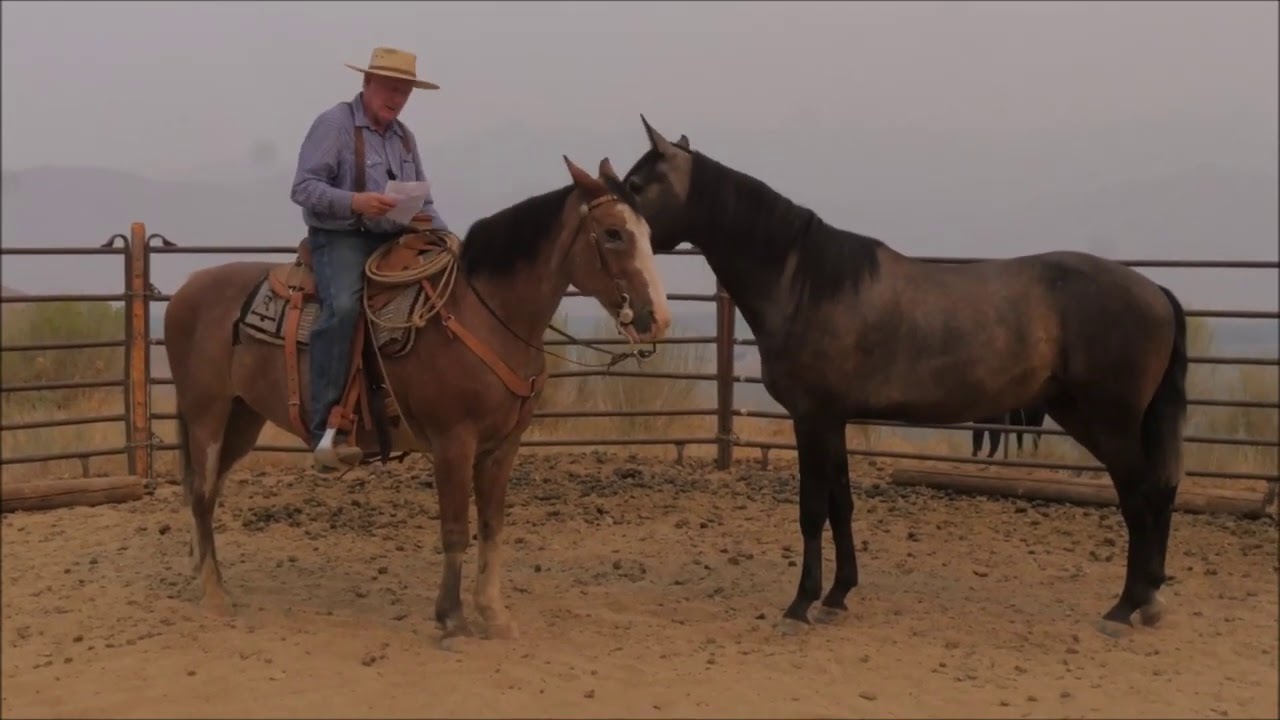 Why I'm Not Riding Chinaco