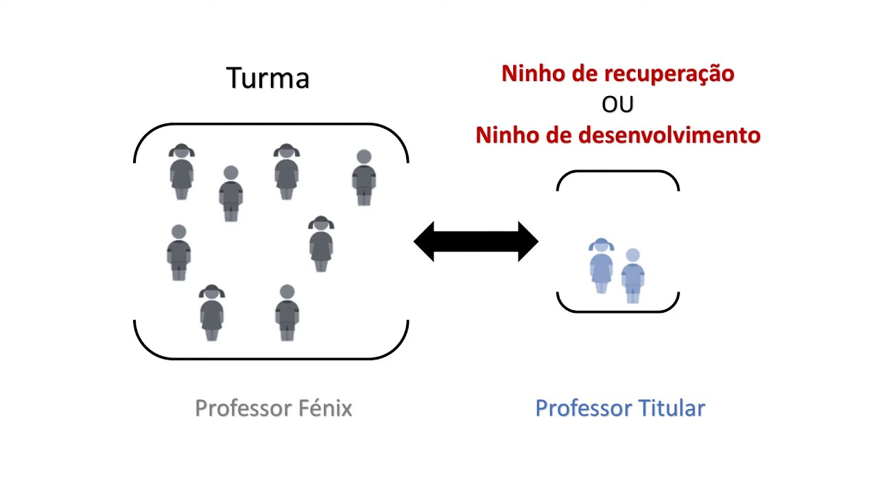 V&iacute;deo FMS - F&eacute;nix Mais Sucesso (portugu&ecirc;s)