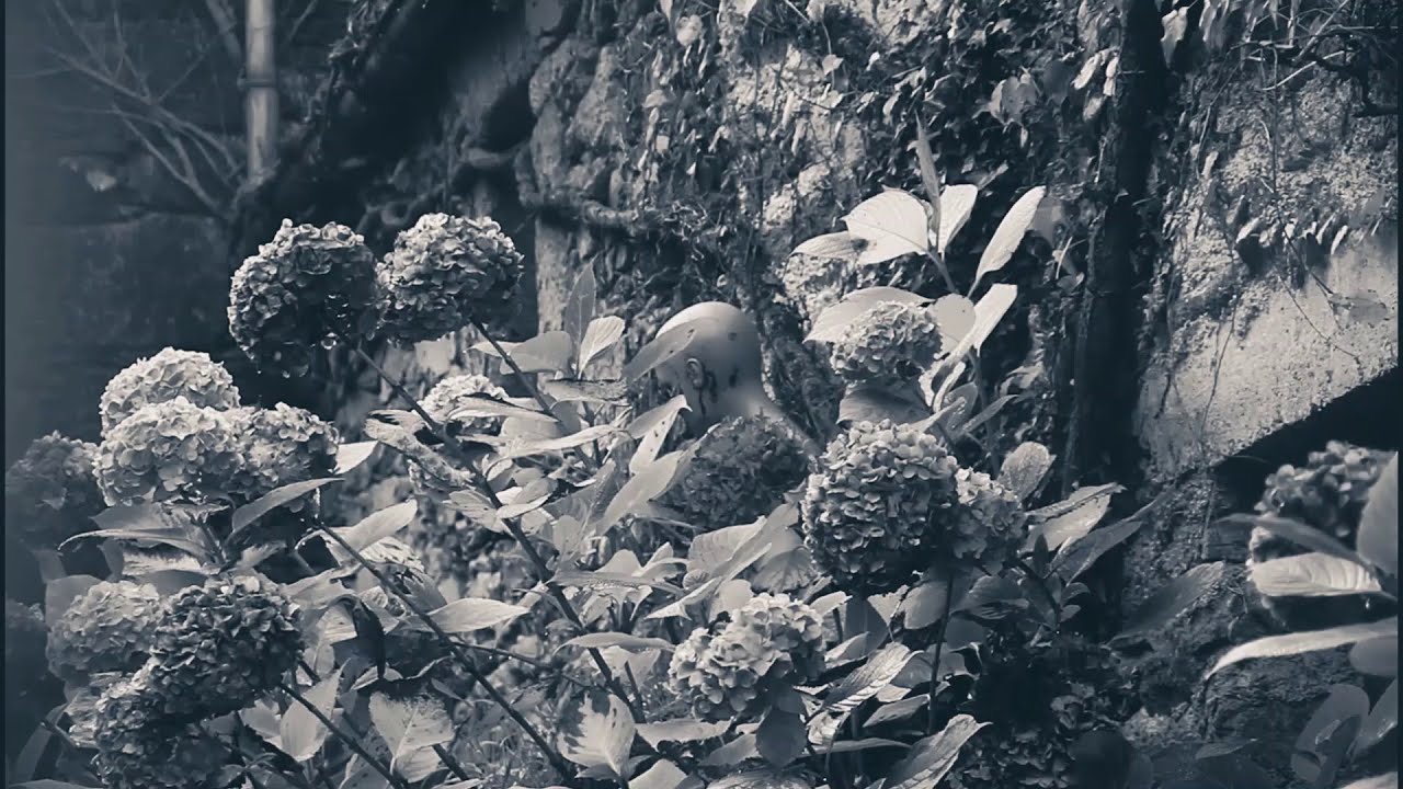 Sortie d'album - Antoine P&eacute;ran