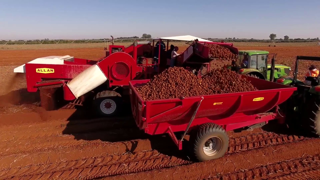 Allan 2 row potato harvester in South Africa