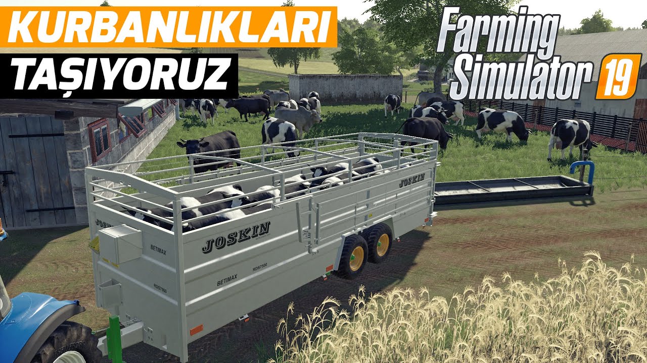 KURBANLIKLARI YENİ ÇİFTLİĞİMİZE TAŞIYORUZ !!