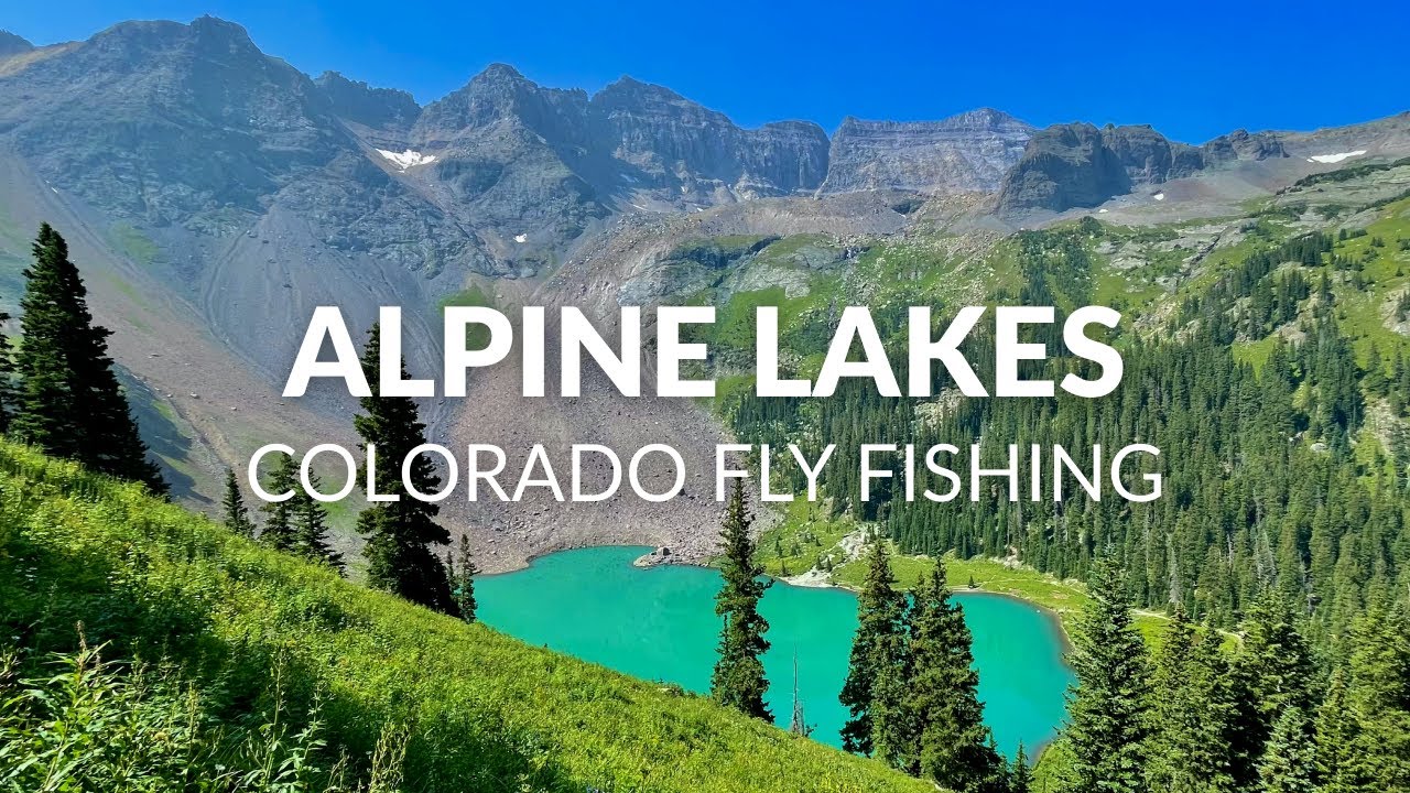 Cutthroat Trout Bonanza in a Stunning Alpine Lake! | FLY FISHING COLORADO