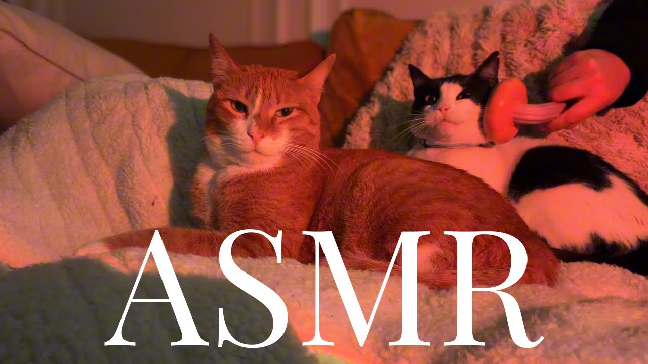 ASMR singing Norman and Goldie lullabies