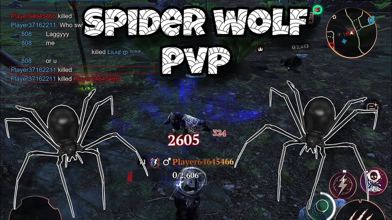 The wolf - Thrower 1k vs Friendly PvP || Spider killer 🕷️🕸️