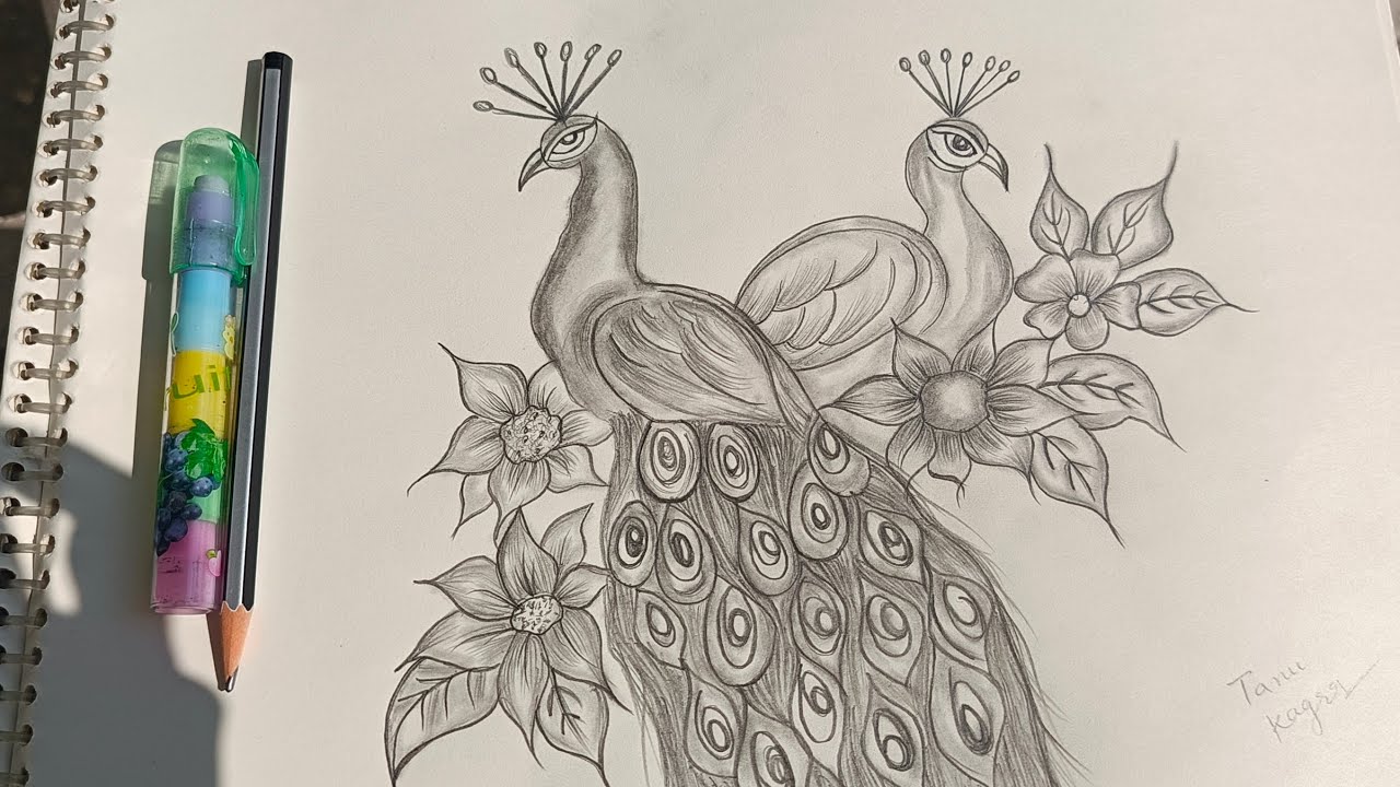 Very Easy Pecock sketch step by step full Tutorial 😍#drawing #sketch 