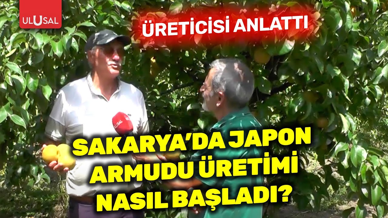Sakarya'da Japon armudu üretimi nasıl başladı? | İlyas Gümrükçü