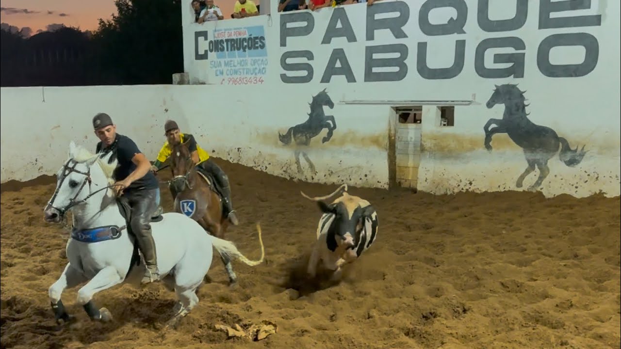 Vaquejada 2024 Parque Sabugo disputa com cavalo Rei Big Doc só boi grande