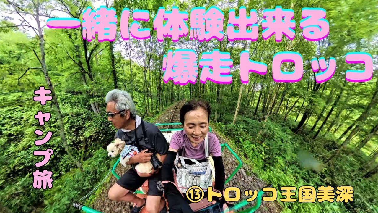 ⑬愛犬とトロッコを運転しよう。道中の道がやばい