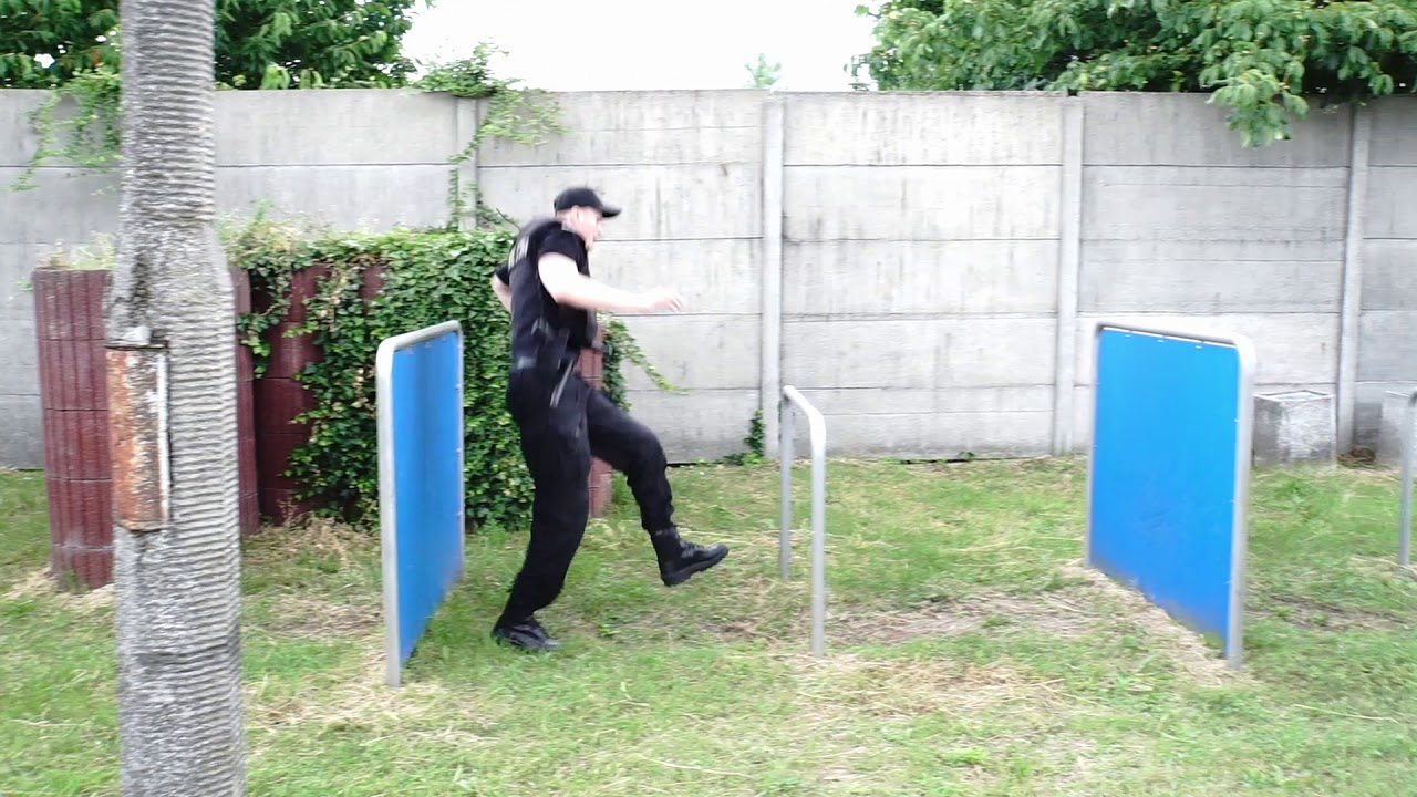 Patrol Roku 2019