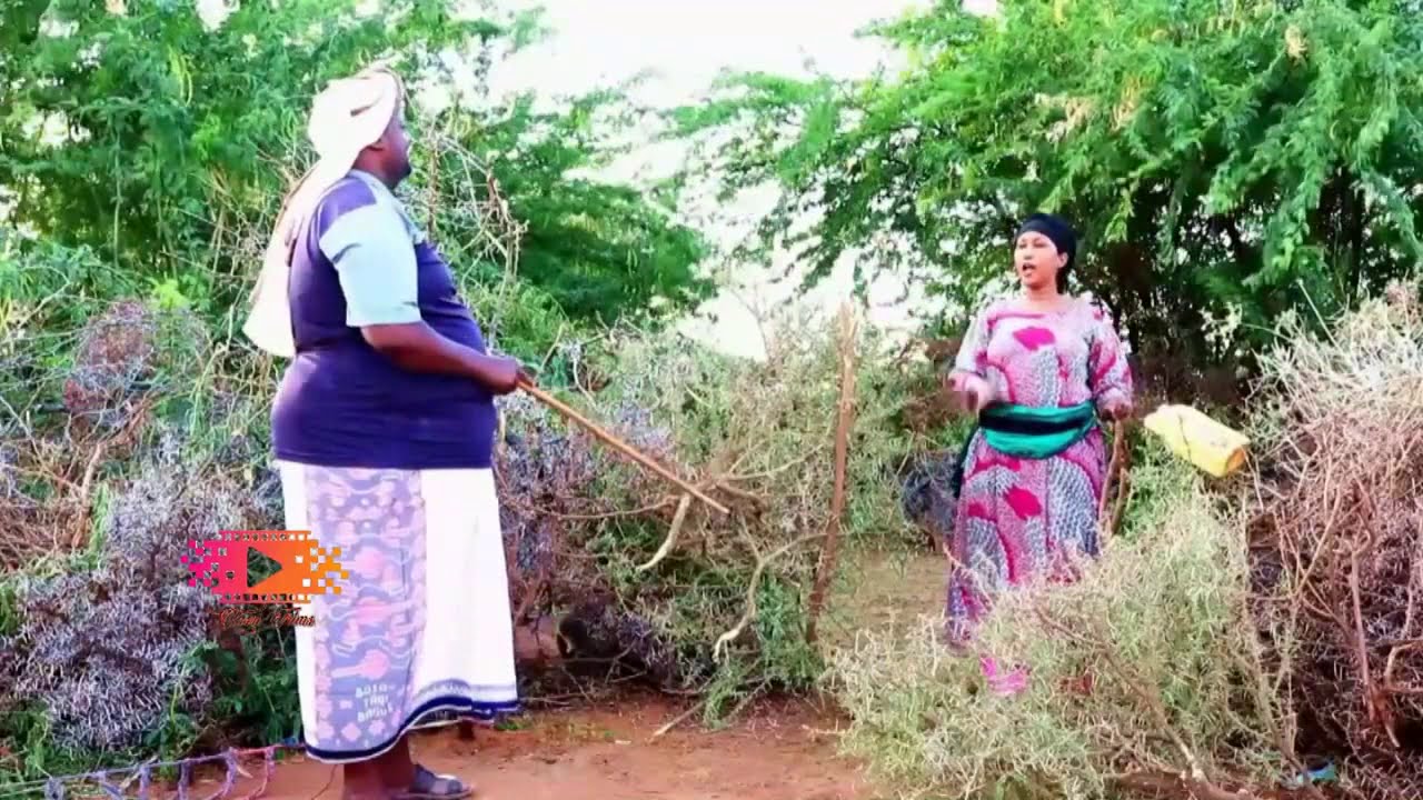 SOORAAN SAAXIBKII DILAALKA SIYAASADA OO ARIN MUCJISO AH LA SOO BAXAY AAFADA QABYALADA AY XISBIYADA 1