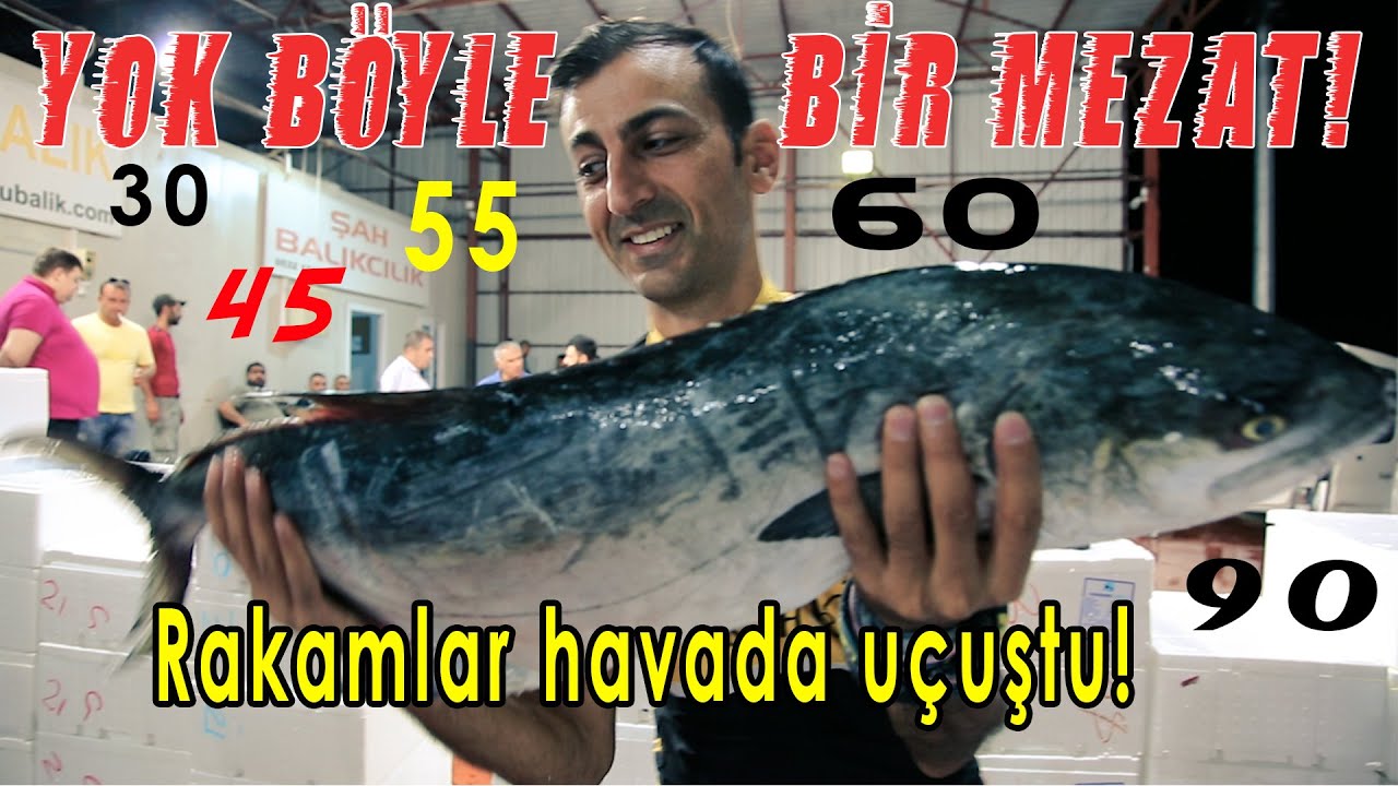 ANTALYA BALIK MEZATI : 