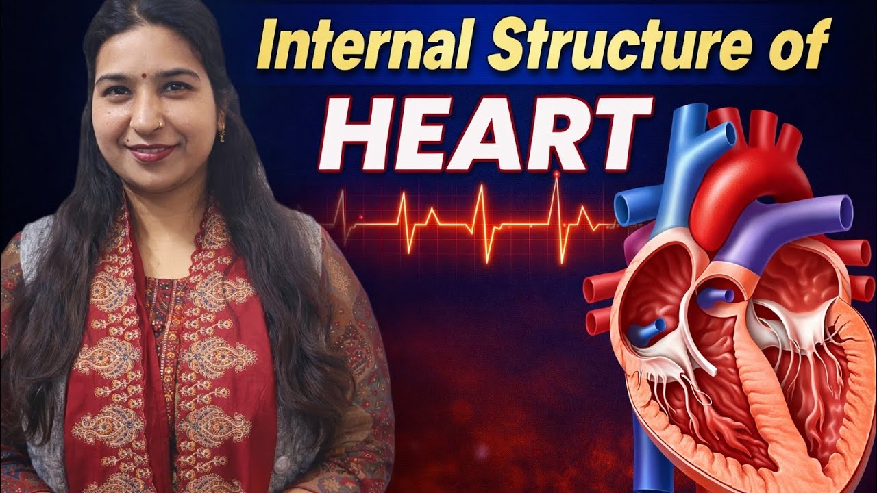 Internal structure of heart|ICSE/CBSECLASS 10#HumanHeart#BiologyClass10/9/11#BoardExamRevision