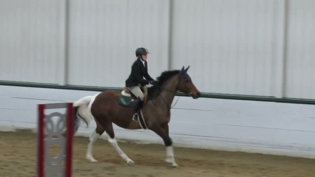 Full course from iea region 10 regional finals 2026 :)