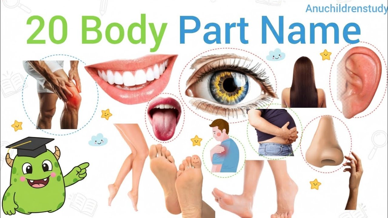 शरीर के अंगों के नाम बच्चों के लिए learn 20 Body Parts Names for Kids With Pictures 