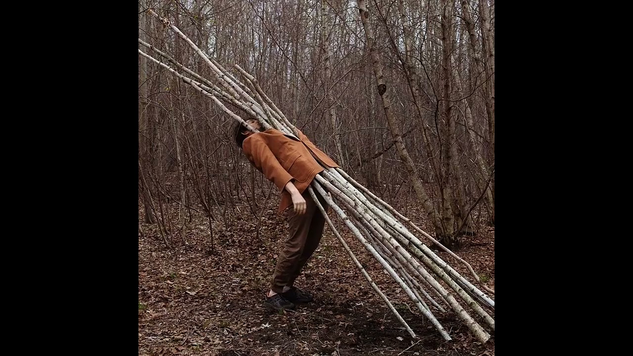 human tree - Tree through the human body - @random_short_360