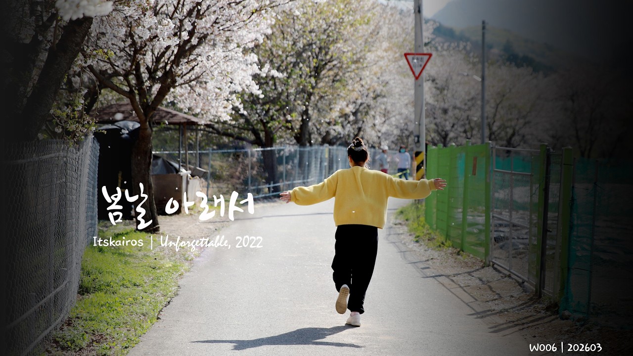 봄날 아래서_시네마틱 감성 음악 / 노래