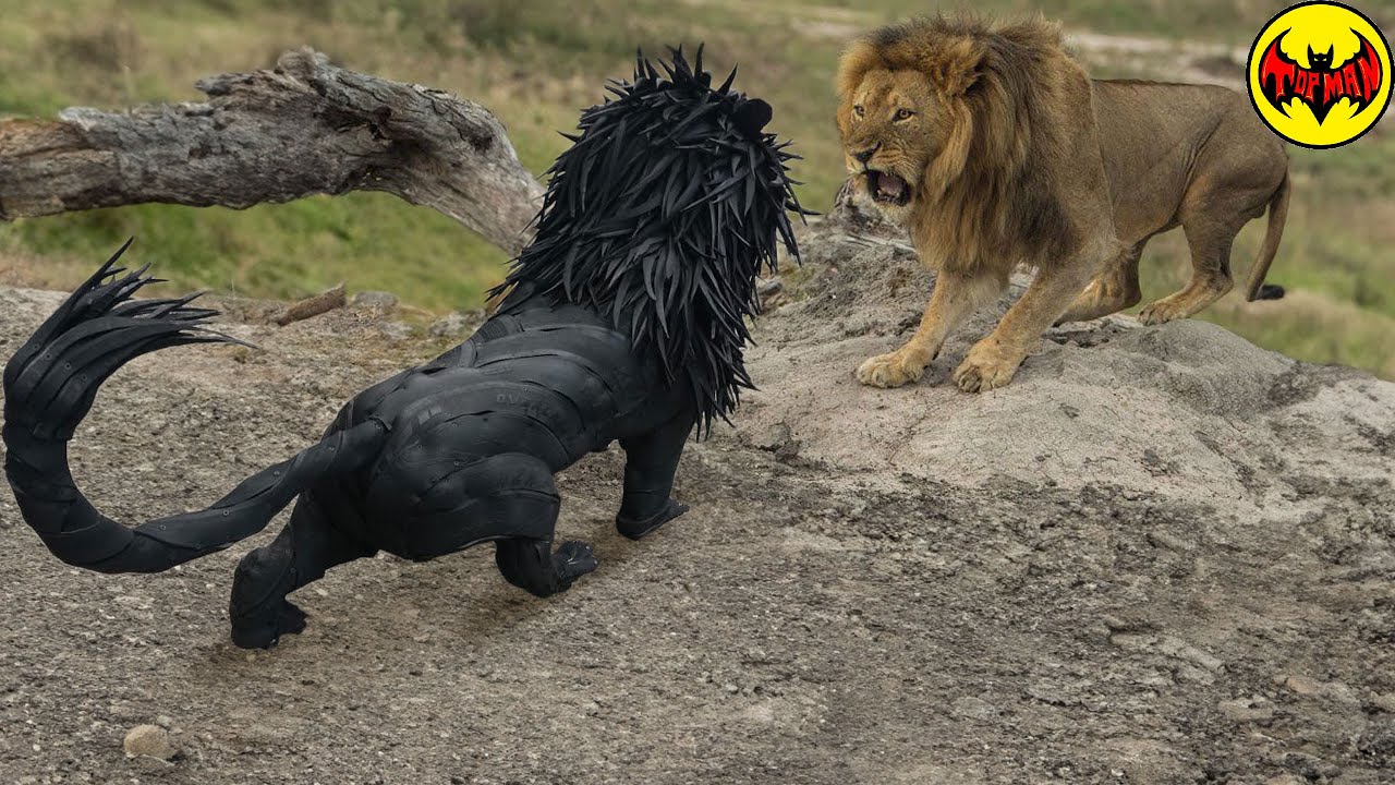 Los Animales M&aacute;s Escalofriantes Vistos en &Aacute;frica.