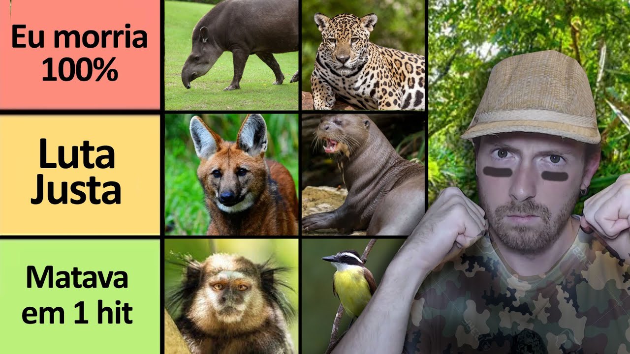 Humano vs. Animal: Versão BRASIL