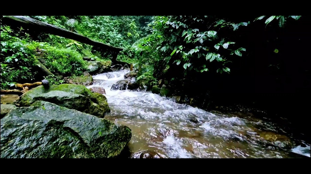 Peaceful River Sleep Sounds  Relaxing ASMR Ambience