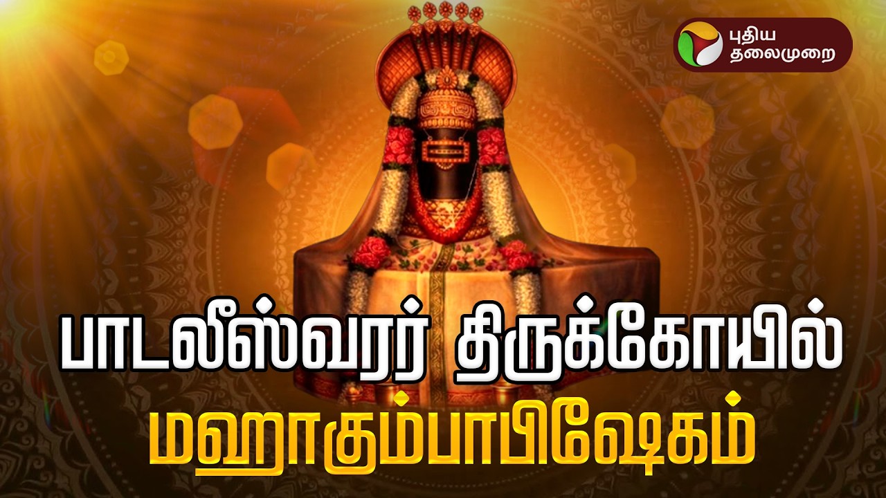 🔴LIVE: திருப்பாதிரிப்புலியூர் ஶ்ரீ பாடலீஸ்வரர் திருக்கோயில் கும்பாபிஷேகம் | Cuddalore