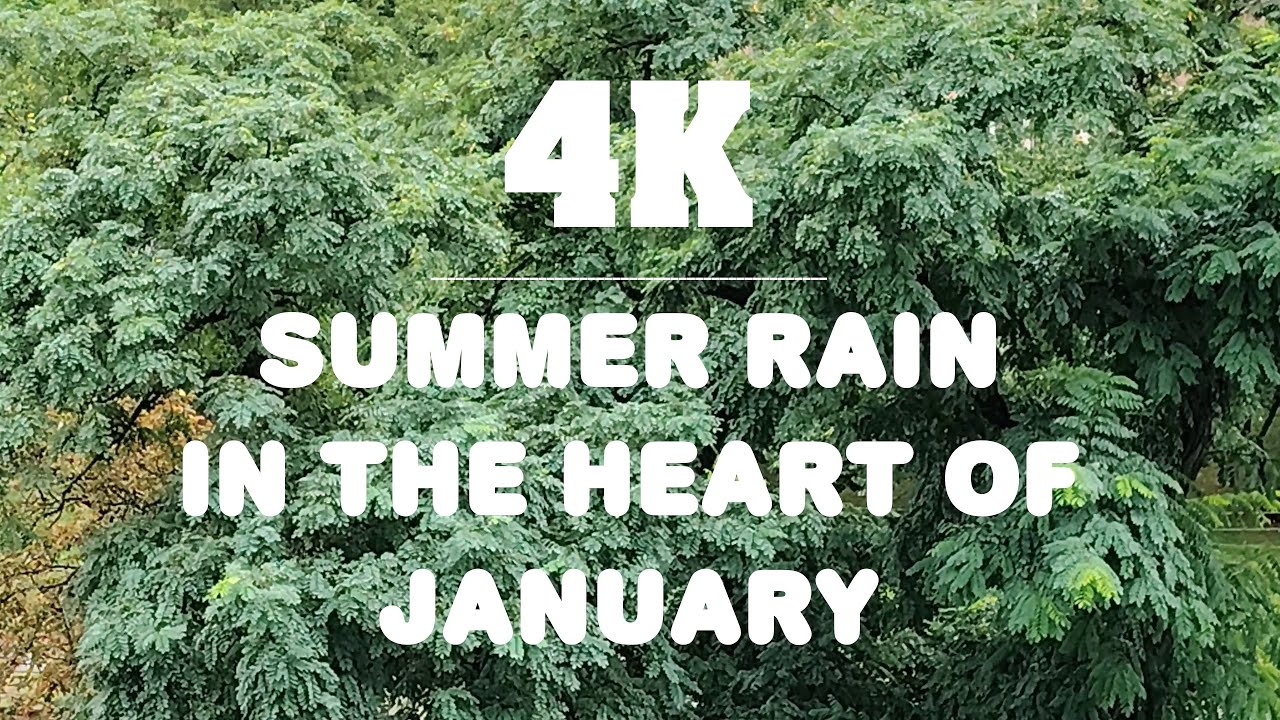 4K | Summer Rain in the Heart of January