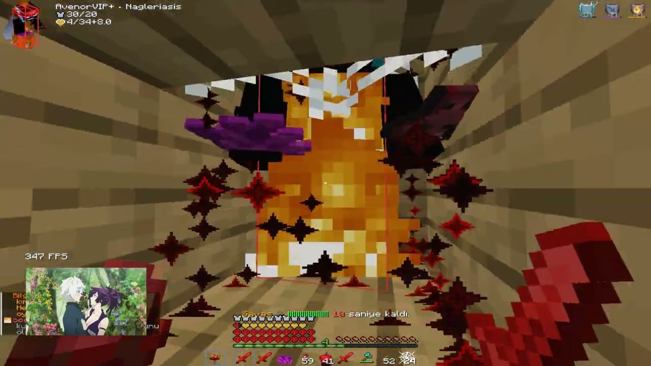 AvenorCraft#19