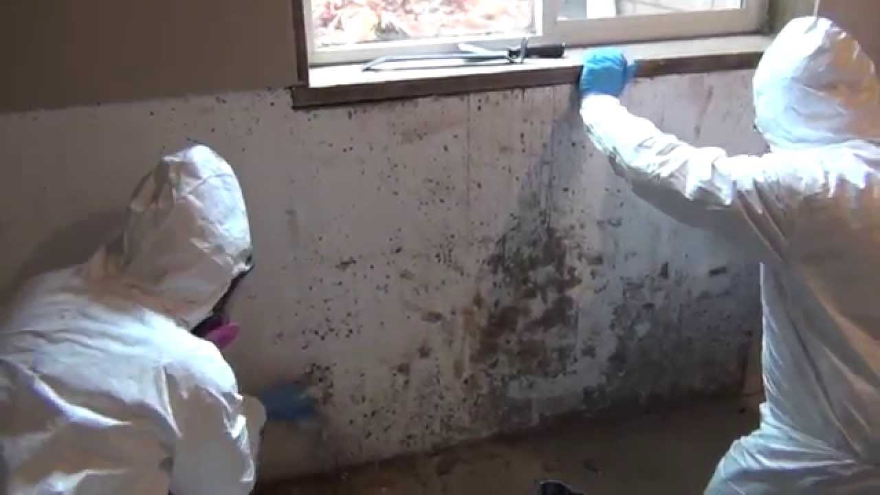 Certified Professional Restoration - Mold Remediation