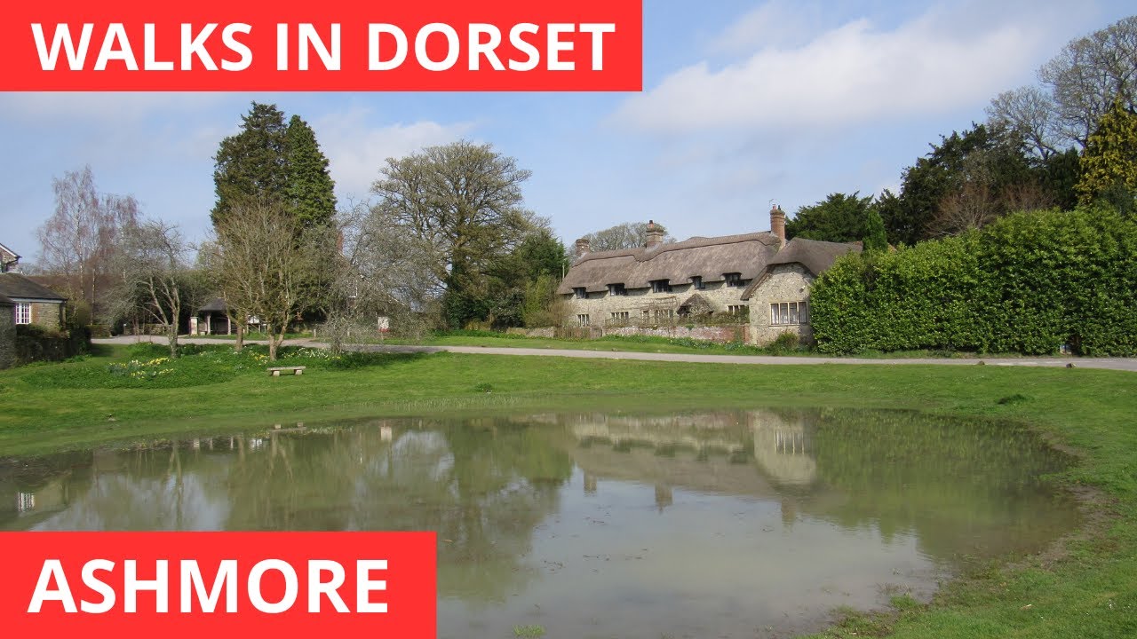 WALKS IN DORSET at ASHMORE (THE HIGHEST VILLAGE IN DORSET) (4K)