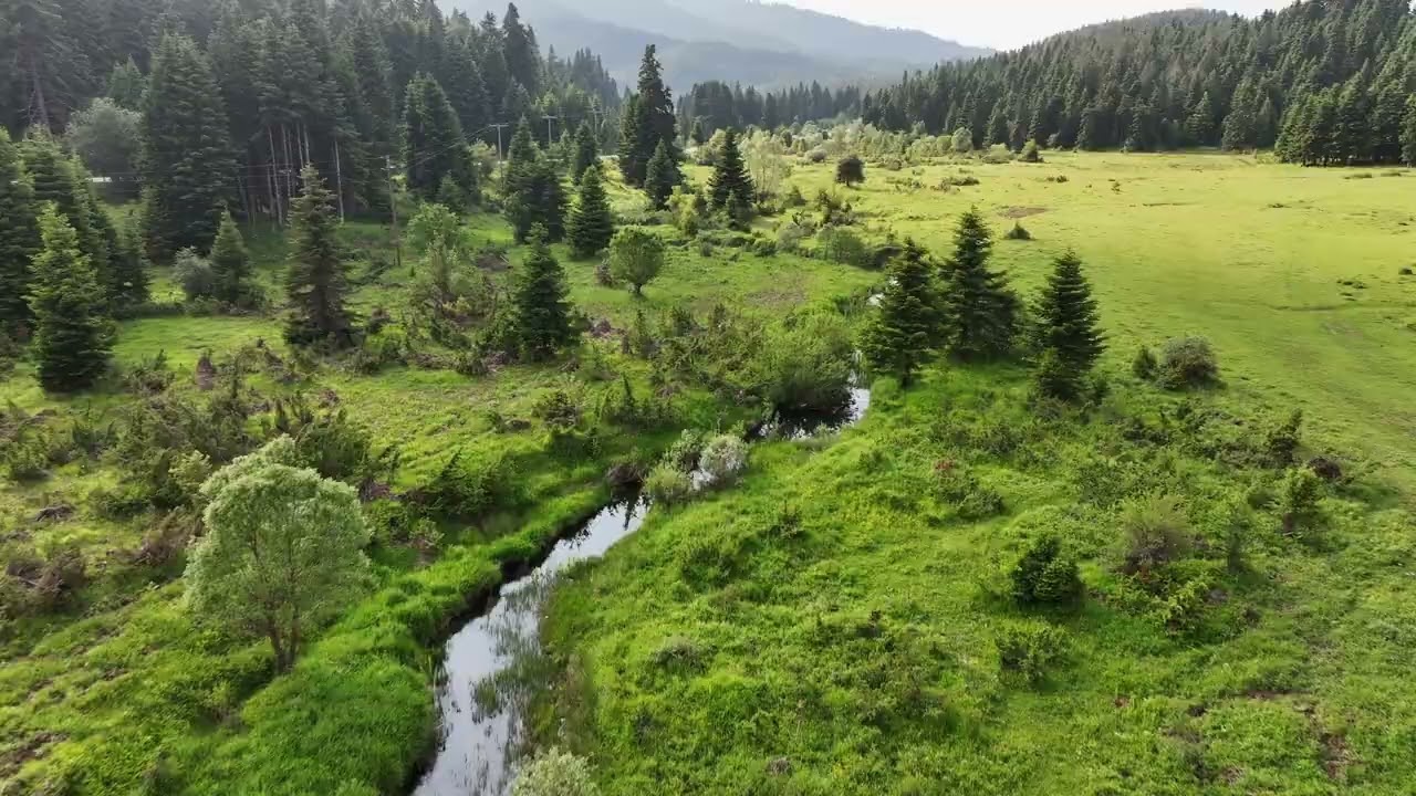 ΠΕΡΤΟΥΛΙ-ΛΙΒΑΔΙΑ 6 2025