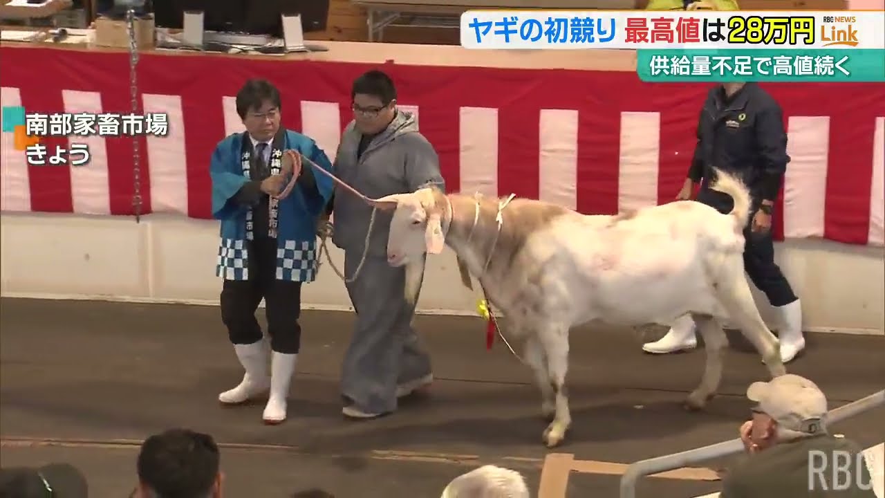 人気高まるヤギ肉　ヤギの初競りで1キロあたり1548円の高値に　価格の上昇続く