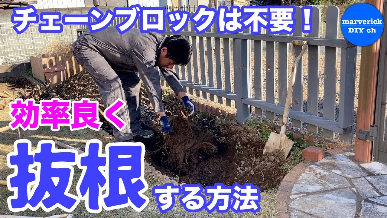 抜根はコツを掴めば大変じゃない！　※最後に大事なお知らせ有り