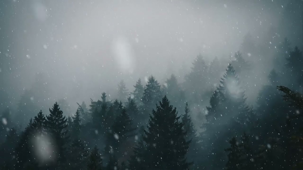 Relaxing Snow with Wind 1 Hour