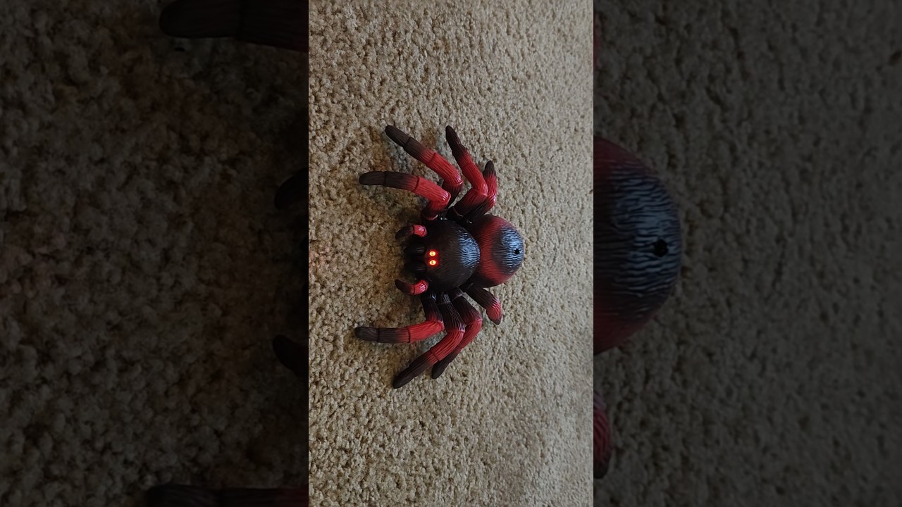 Unboxing RC Tarantula!