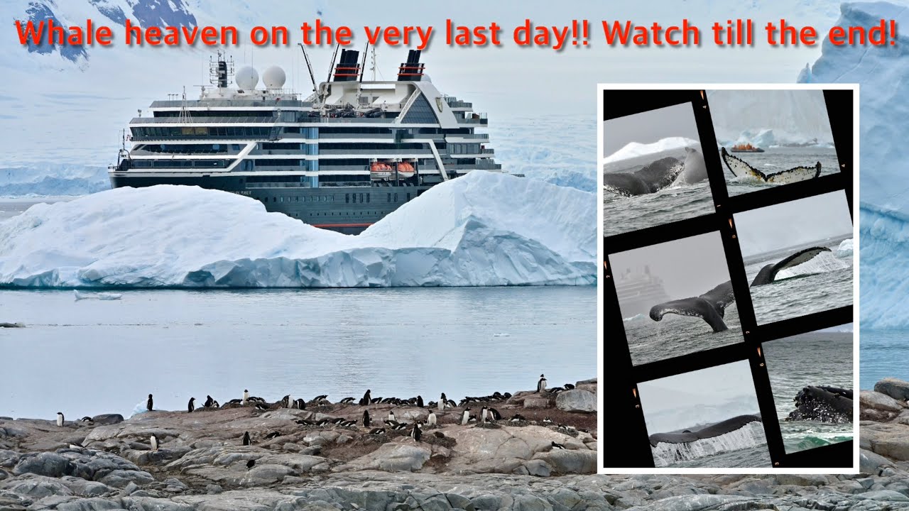 Antarctica Expedition Cruise - Seabourn Pursuit (Dec 24’ - Jan 25’) 世邦探險游輪 - 南極之旅 (4K!)
