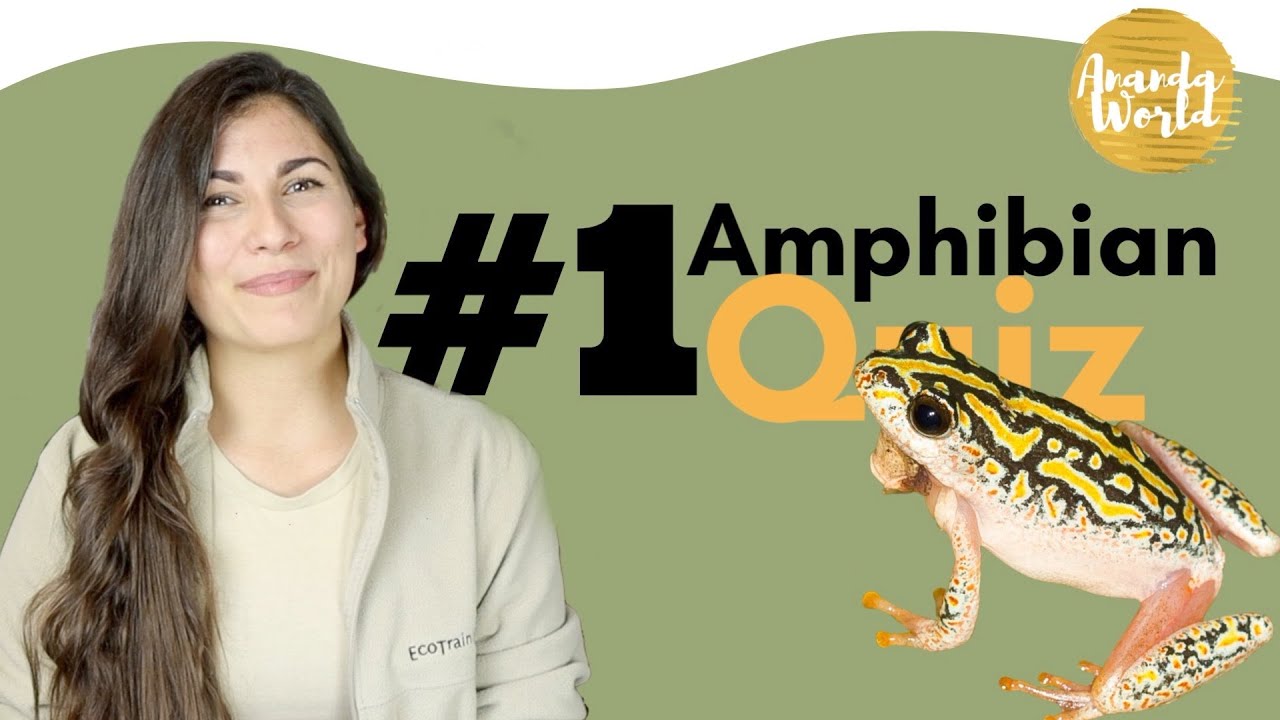AMPHIBIAN CALL QUIZ PART 1 - Your Guide to Guide for Field Guide Students