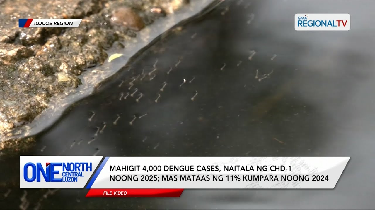 Mahigit 4,000 dengue cases, naitala ng CHD-1 noong 2025 | One North Central Luzon