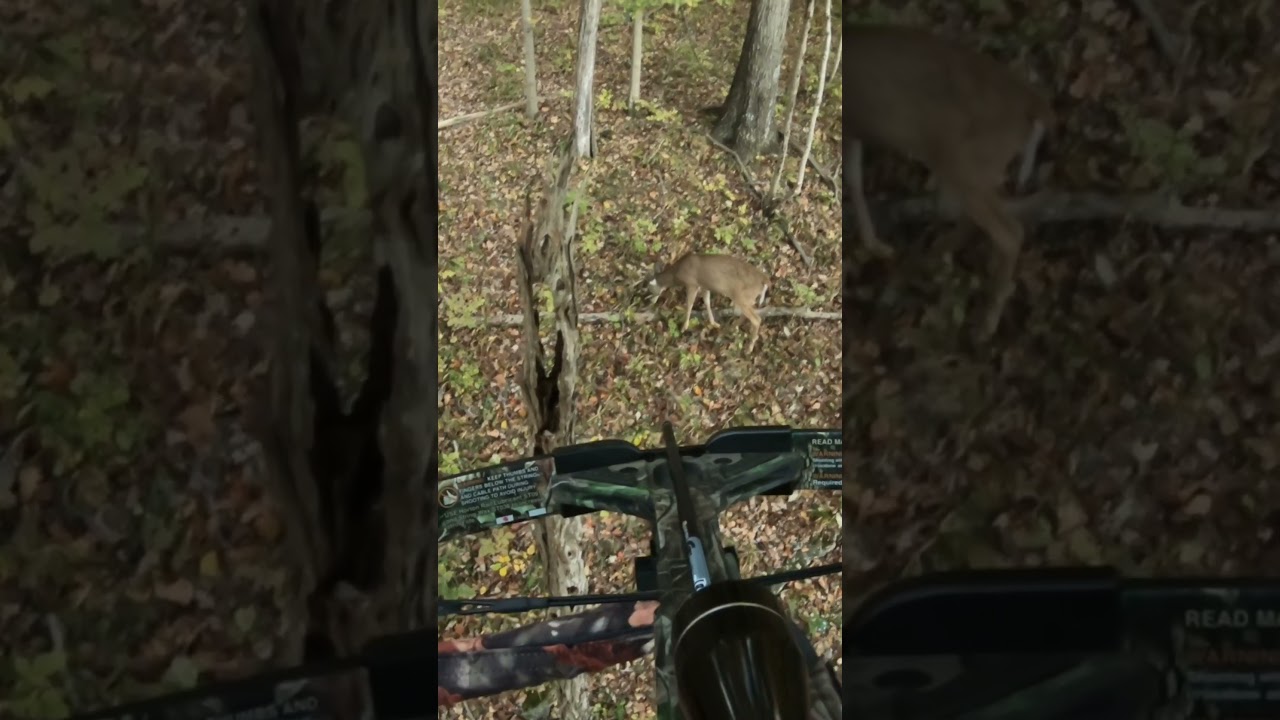 Dad&rsquo;s first buck with a crossbow