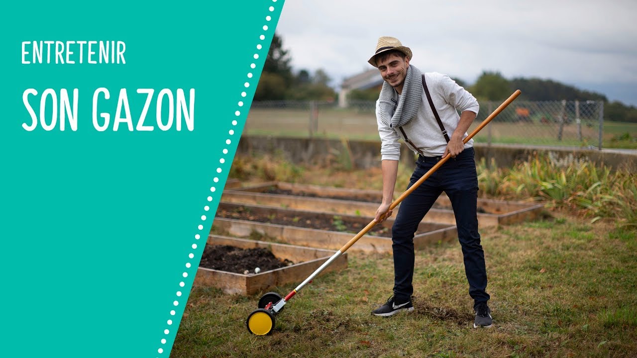 Entretenir son gazon