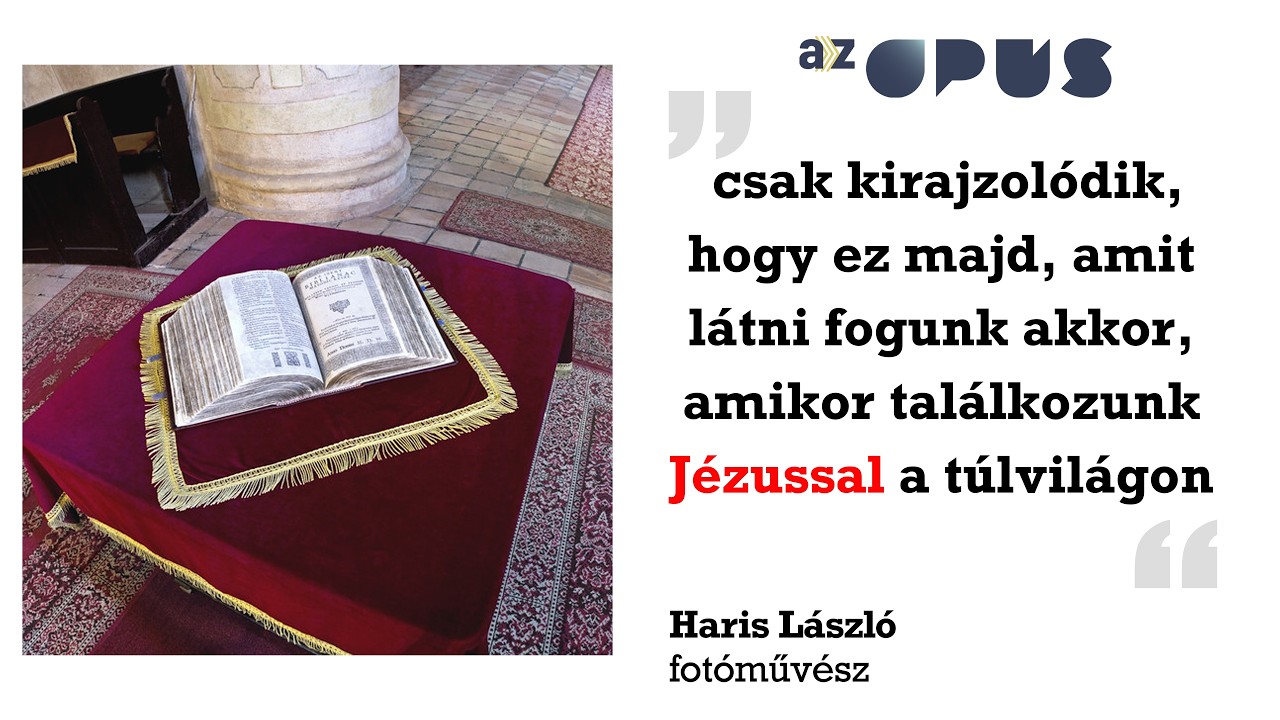Haris László: Vizsolyi Biblia (2009)