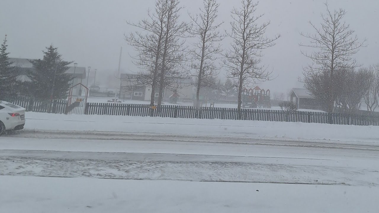 หิมะตกๆหยุดๆทั้งวันทั้งคืนค่ะ ชมบรรยากาศหนาวๆจ้า❄️🥶😊💞💞🇮🇸