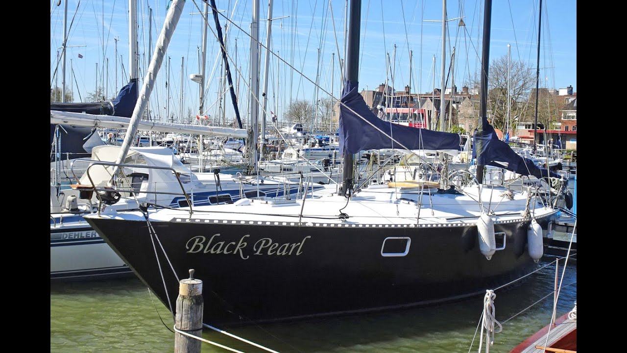 Van de Stadt 36 Zeehond