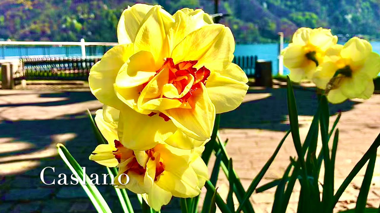 Malcantone - Ticino - Svizzera #Malcantone #Ticino #Svizzera #Luganoregion #Ticinoturismo
