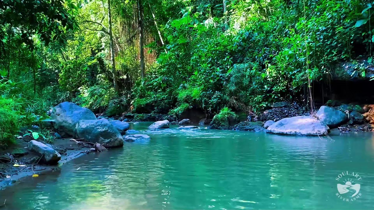 River Sounds for Sleeping Insomnia Relief | Soft Natural River Water Flow