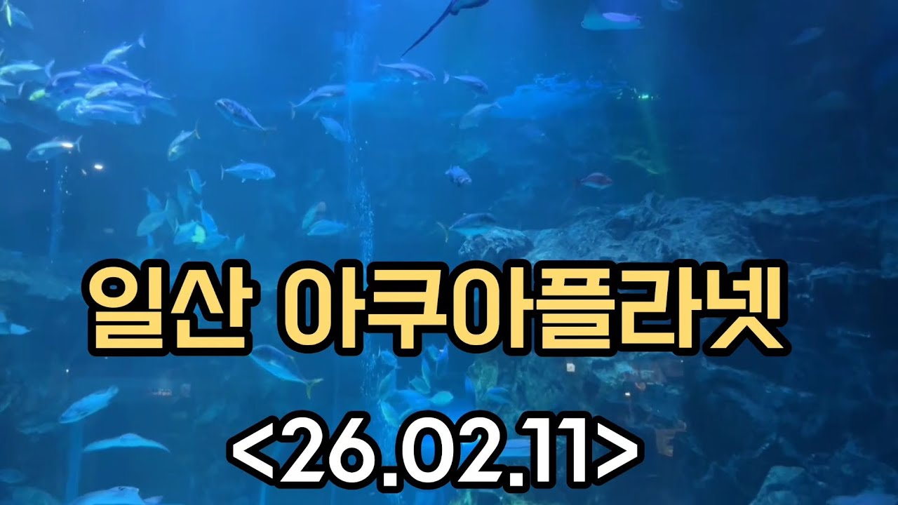 프라디움어린이집 일산 아쿠아플라넷 견학