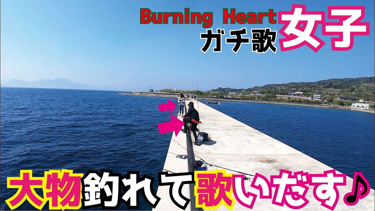 初めて堤防から大物高級魚を釣り上げたガチ歌女子(510話目)